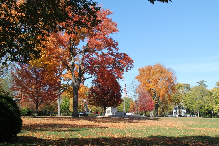 Village Green, Winnetka